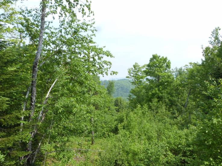 Terrain et terre à vendre - Petite-Rivière-Saint-François, Charlevoix (PR812)