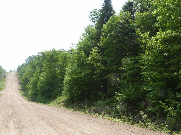 Terrain et terre à vendre - Petite-Rivière-Saint-François, Charlevoix (PR814)