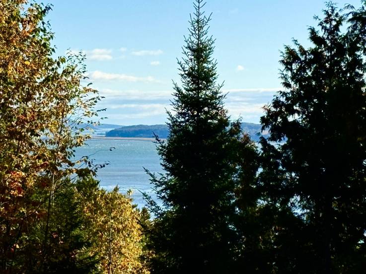 Terrain et terre à vendre - Petite-Rivière-Saint-François, Charlevoix (PR826)