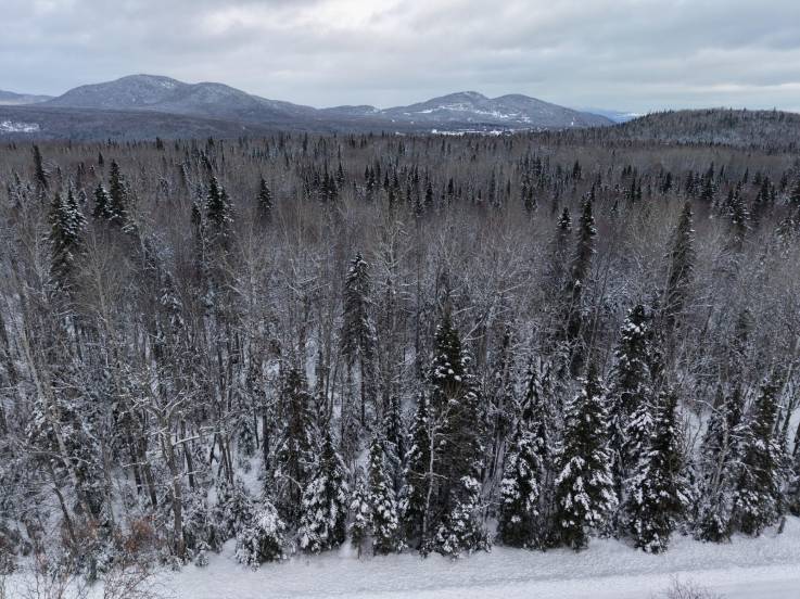 Terrain et terre à vendre - Petite-Rivière-Saint-François, Charlevoix (PR836)